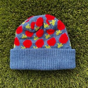 Like New! Blue Knit Beanie Winter Accessories Hat with Red Flower Floral Pattern
